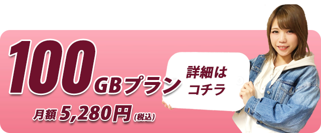 ヤバイWi-Fi100GBプラン